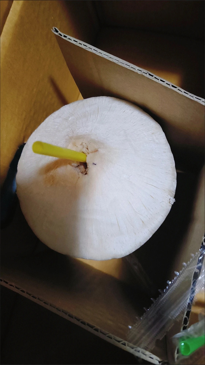 新鲜水果