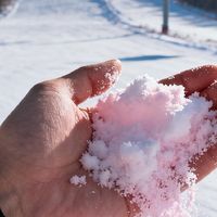 松花湖滑雪场雪地质量测评