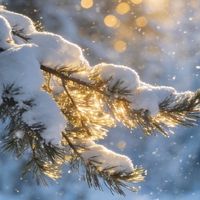 雪季必备装备与安全要点