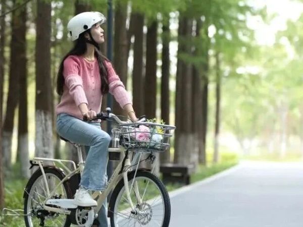 新国标 | 瞅瞅捷安特的智慧电动车