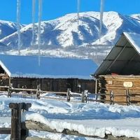 冬日阿勒泰：冰雪秘境之旅