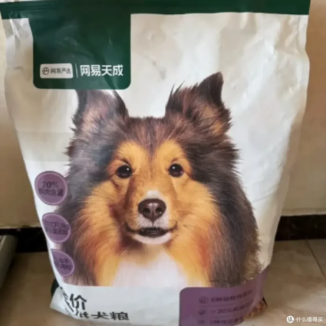 聊聊那款让我家边牧告别剩饭、毛发闪亮起来的三拼犬粮