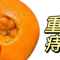痔疮肿痛便血，第4战终于成功了！自以为是的用药