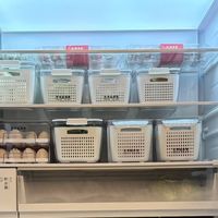 东芝冰箱赠品收纳盒YYDS！冰箱瞬间变身强迫症治愈现场✨