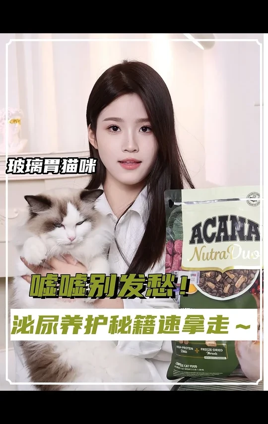 玻璃胃猫咪嘘嘘别发愁，泌尿养护秘籍速拿走