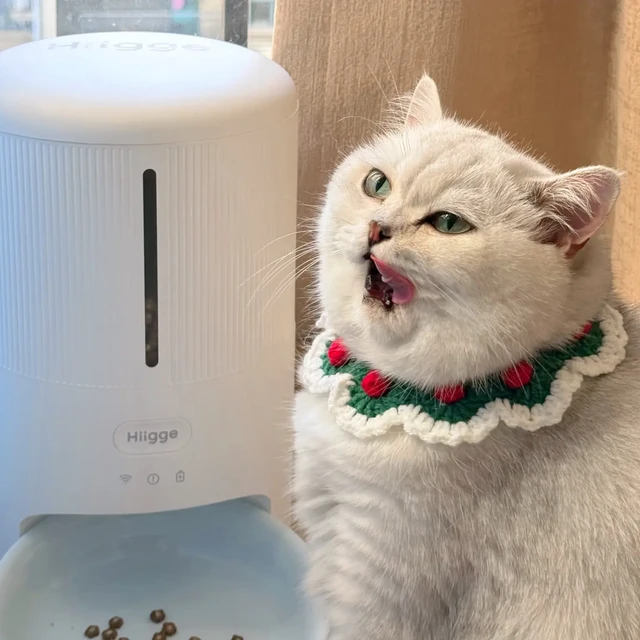 Hiigge嗨吉新款雪仓mini喂食器测评