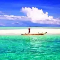 驼奶粉，2025年驼奶粉测评指南，6款优质产品改善体虚提升耐力