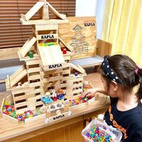 积木潮玩：是“全龄解压神器”还是“儿童专属玩具”？1000+用户观点大碰撞