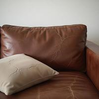 皮质沙发的头号杀手竟然是他！速来自查！