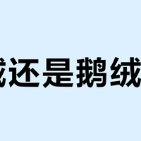 鸭绒还是鹅绒？平价羽绒服怎么选，300+用户观点大PK