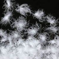 羽绒服保暖与时尚能兼得吗？1000+用户观点大碰撞