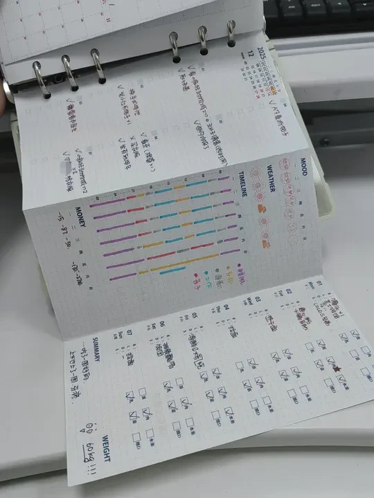 自制手帐模板丨A6周计划3折页