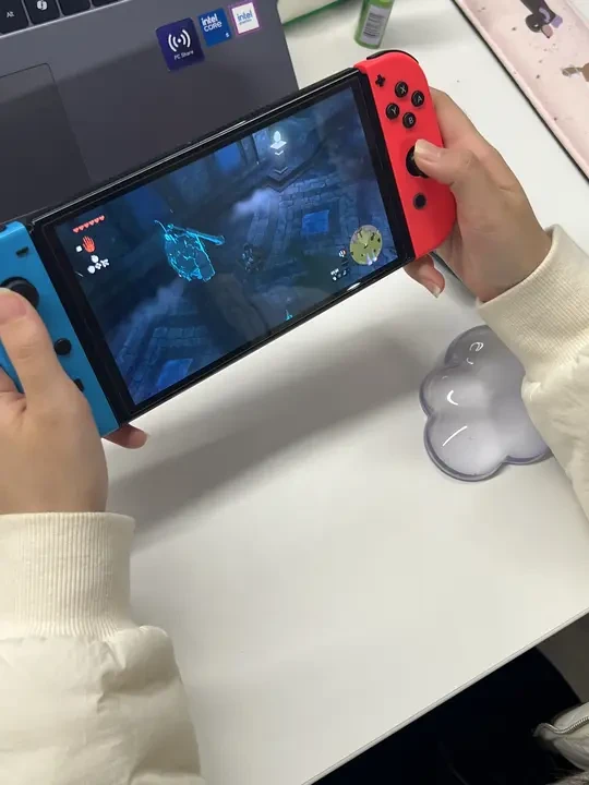 关于我是怎么9.9租到15天Switch的