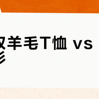 美利奴羊毛T恤 vs 普通针织衫？300+用户实测打底体验大公开