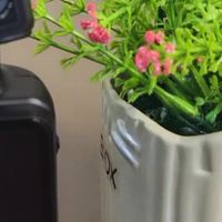 轻便防抖，欧达M5助你拍出清晰雪景