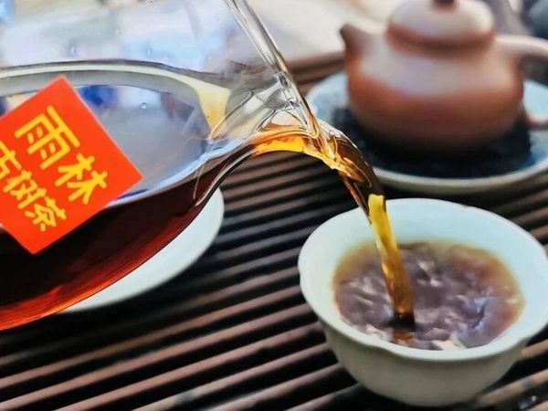 普洱茶不同年份的品饮期