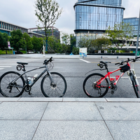 折叠车 vs 公路车？300+用户真实体验告诉你怎么选