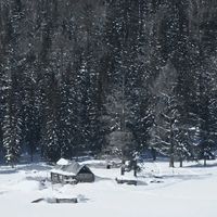 阿勒泰：人类滑雪起源地的冬日画卷