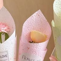 玫瑰花的栽培与养护