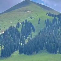 新疆冬日奇遇：雪场驰骋，美食暖心