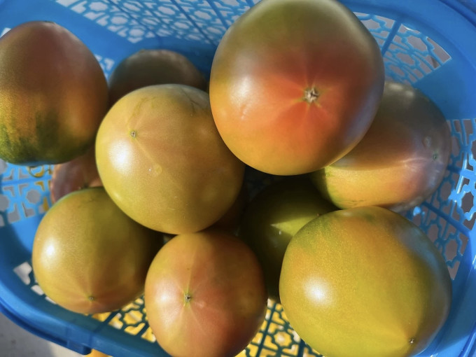 蔬菜