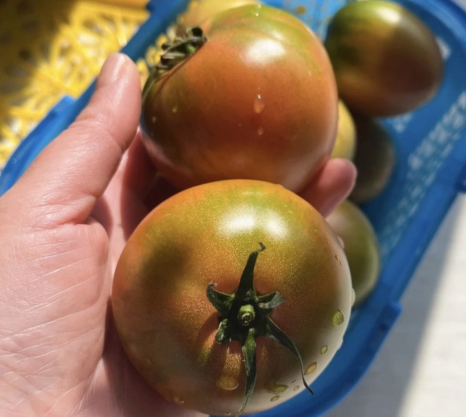 蔬菜