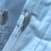 口罩车内离奇“自燃”车主懵了 专家：口罩金属条进入无线充电磁场被加热