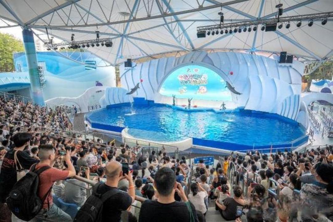 揭秘水族馆:不止是看鱼,更是沉浸式探索蓝色星球的奇幻之旅。