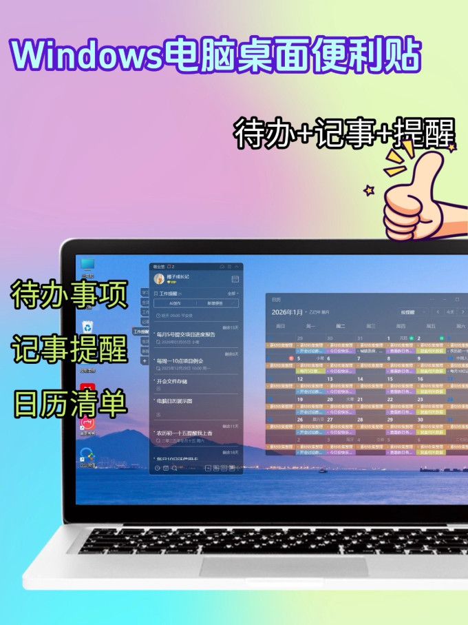 纸品