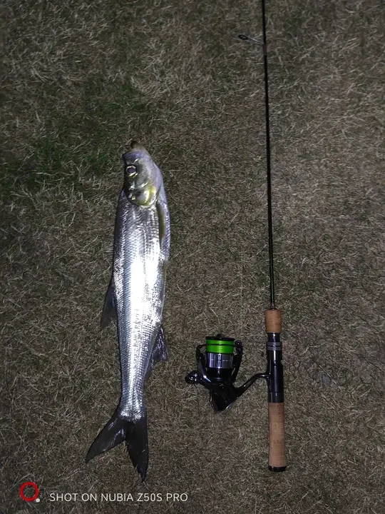 大降温，夜盘大翘嘴