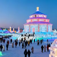 林允成尔滨野生宣传大使，明星代言对旅游影响力有多大？843+用户观点全景剖析