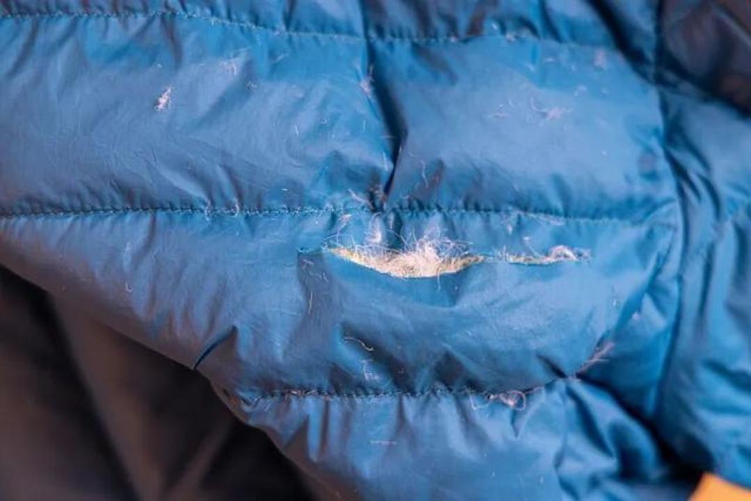 幻想低成本“充绒自由”,首批自制羽绒服的却成了行走的蒲公英
