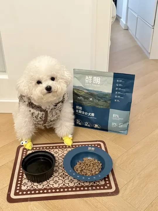 冠军喂养计划| Week 3✨