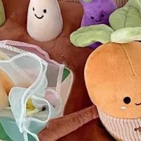 叽米拔萝卜玩具：宝宝益智入门