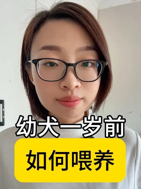 幼犬喂养攻略！一岁前这么喂，肠胃好不挑食！
#宠物知识 #科学养宠攻略 #养狗经验分享 #宠物科普 #养宠知识