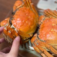 大闸蟹自由，是朋友给的！超简单的烹饪才是最好的方法！