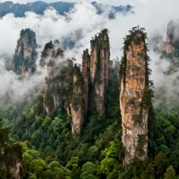 八面山 vs 张家界？我们汇总了78位旅行达人的真实体验，结论来了