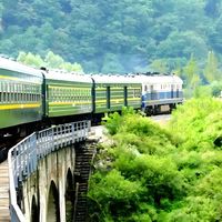 绿皮火车 vs 高铁？我们汇总了200+用户真实体验，答案出人意料