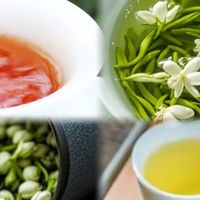 老茶友聊聊几款过年期间自饮待客两相宜的茶叶！