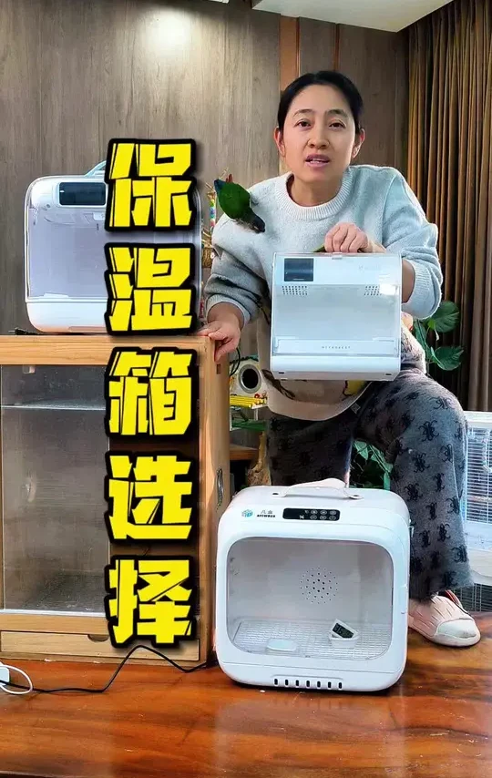 选错保温箱等于害了鸟。 鹦鹉保温箱千万别选错，更别买便宜货。家用保温箱对比评测来了#鹦鹉保温箱 #鹦鹉保温箱推荐 #便携保温箱 #新手养鹦鹉教程 #保温箱评测