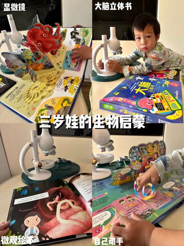 三岁小孩学生物！