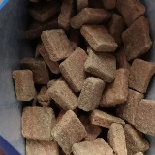 挑食狗狗买啥牌子狗粮？烘焙狗粮品牌十大排行测评