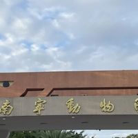 双旦暖冬遛娃首选！南宁动物园承包全家欢乐时光