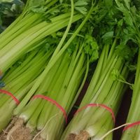 芹菜为什么不吃叶子？背后的“真相”，很多人都想不到！