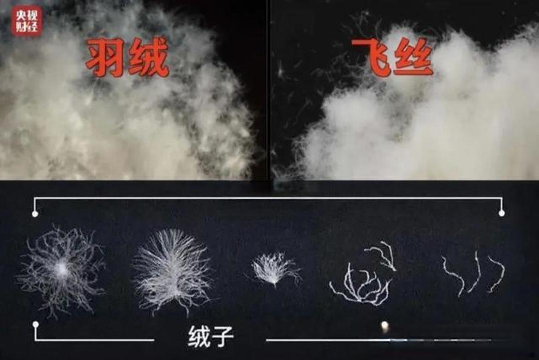 羽绒服从几百到上万，差的不只是品牌！看懂吊牌才不花冤枉钱