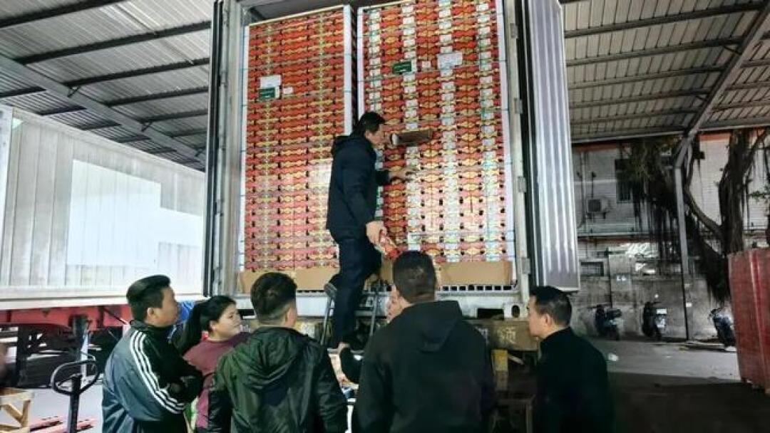 车厘子价格跳水别急买!1月下旬到2月才是性价比最高峰