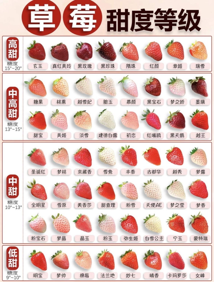 草莓