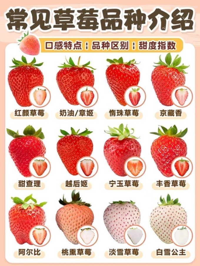 草莓