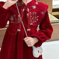 迪士尼公主裙：冬日梦幻与温暖