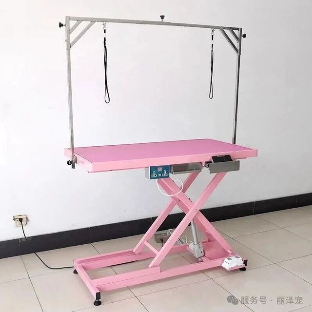 电动升降美容桌-带称